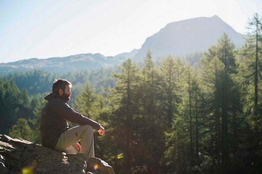 État d'Esprit Inébranlable : La Fondation de Votre Succès Immobilier